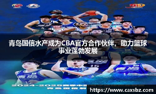 bsports登录入口