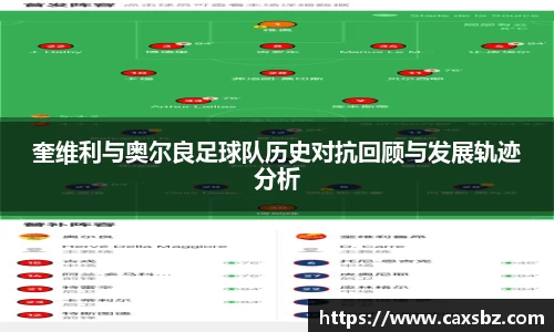bsports登录入口